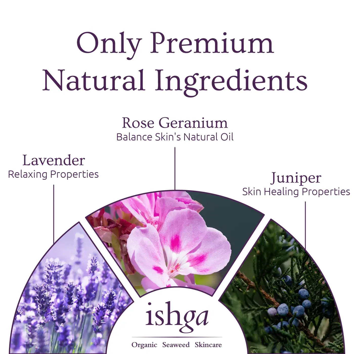 ishga Active Cleansing Lotion 30ml, detail view