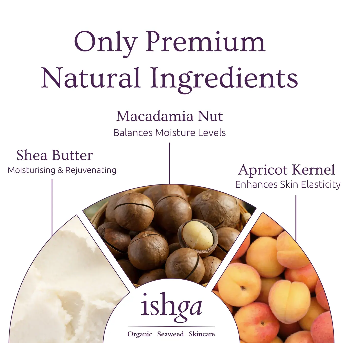 ishga Anti-oxidant Marine Cream 10ml, detail view