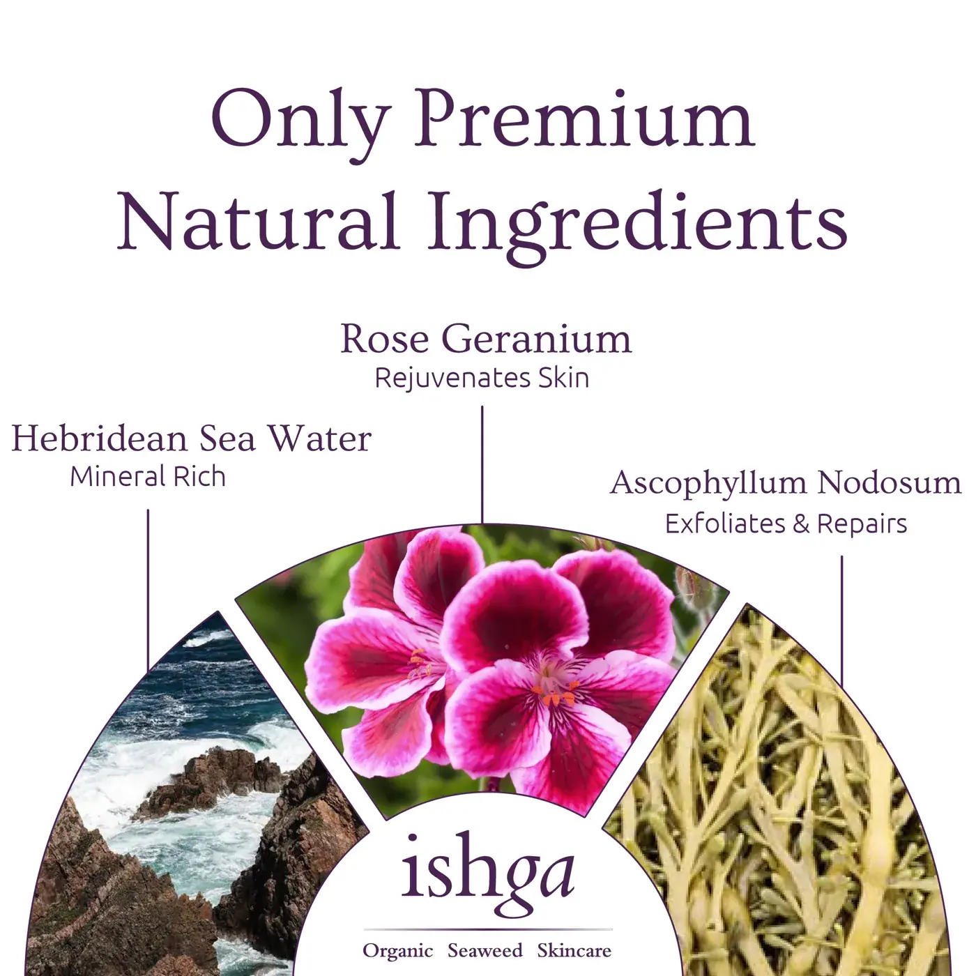 ishga Exfoliating Face Mask 10ml, detail view