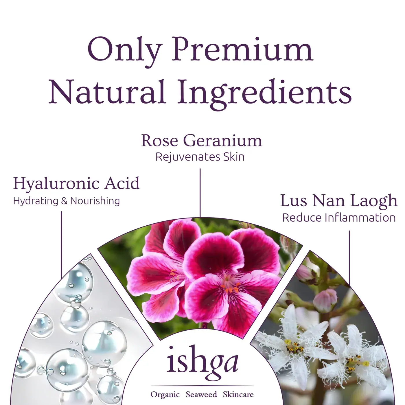 ishga Hydra+ Marine Cream 10ml, lifestyle view