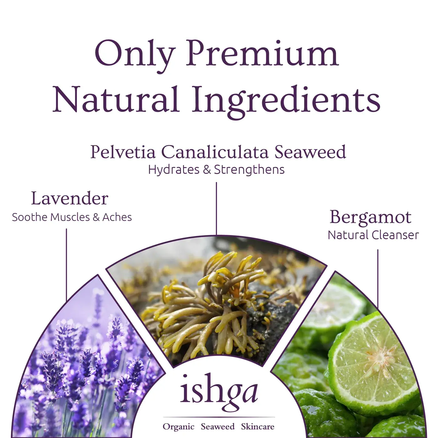 ishga Shampoo 250ml, detail view