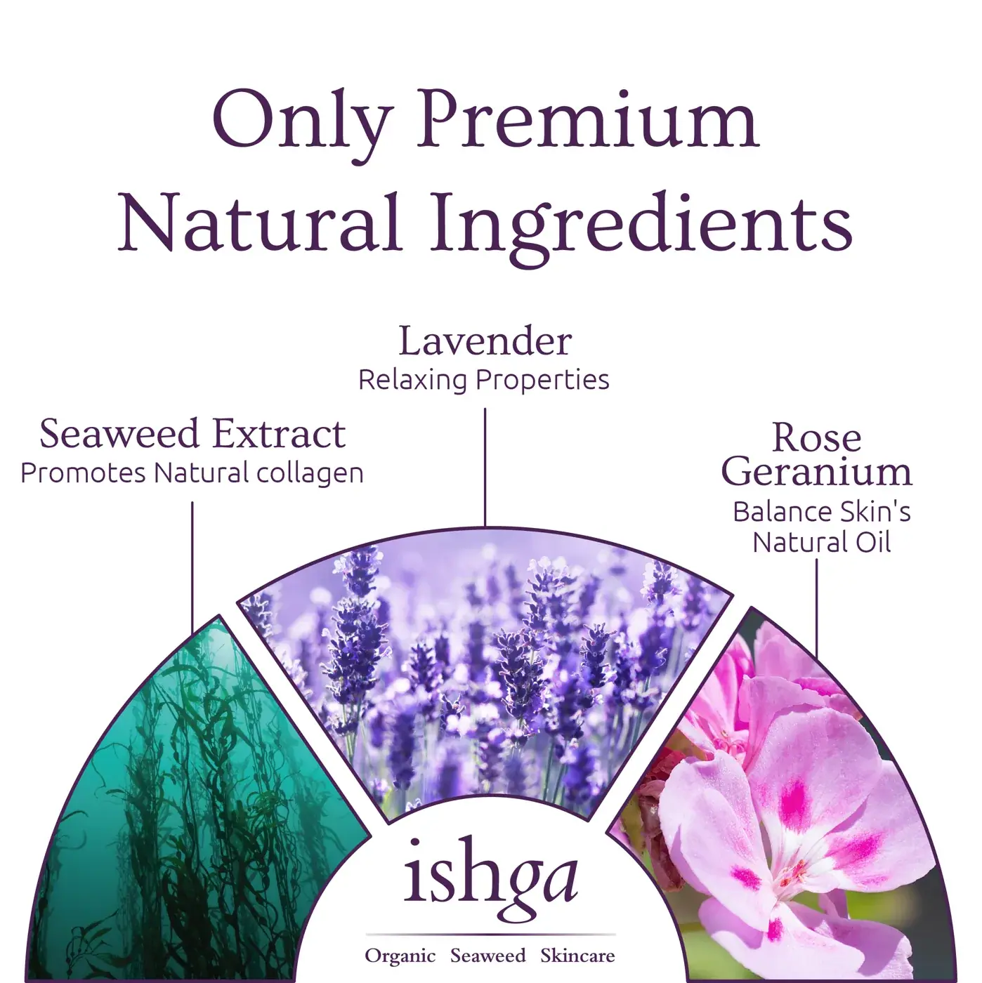 ishga Shampoo & Body Bar 95g, detail view