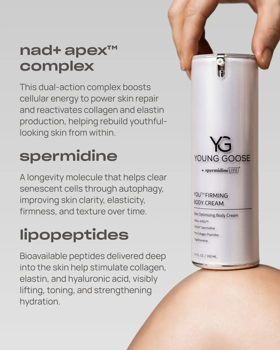 Young Goose YOUTH FIRMING BODY CREAM, texture view