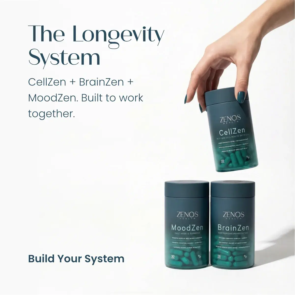 Zenos Health Longevity System, detail view