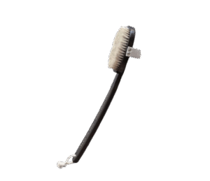 Seed to Skin The Body Brush